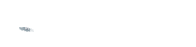 Logo Tung Research
